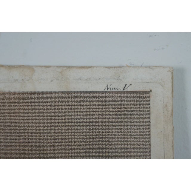 19th Century Polychrome Colored Engraving Johan Ottaviani Logge Di Rafaele Nel Vaticano For Sale - Image 10 of 13