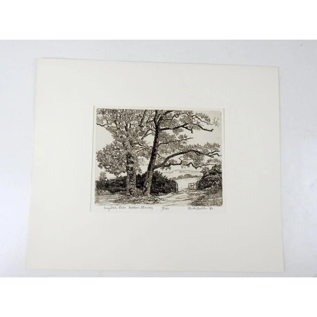 English Vintage 1960 Maurice Bebb English Oaks Aquatint Etching For Sale - Image 3 of 5