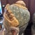 Mid 20th Century Pair of Indian Folk Art Heads, Male & Female Door Gaurds For Sale - Image 9 of 12