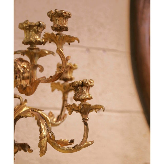 Pair of 19th Century French Louis XV Rococo Bronze Dore Eight-Light Wall Sconces For Sale - Image 9 of 13