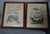 Pair Antique Circa 1789 Natural History Engravings, Reptiles, Lizards, Alligators For Sale - Image 6 of 9