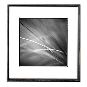 Paul Cooklin, Grass #I, Edition of 50 For Sale