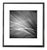 Paul Cooklin, Grass #I, Edition of 50 For Sale