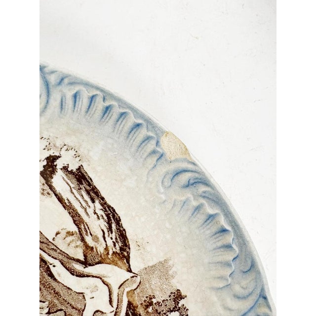 Vintage Plates with Various Illustrations, 1950, Set of 4 For Sale - Image 12 of 16