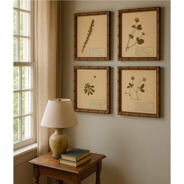 Original early 20th-century SWISS HERBARIUM Scientific plates with real dried plants, unique pieces that recount the...