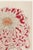 Japanese Vintage Red & White Chrysanthemum by Hasegawa, Japanese Botanical Art Print For Sale - Image 3 of 10