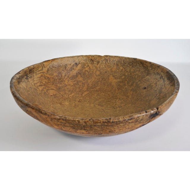 Monumental 18th Century American Burlwood Bowl, Virtually Untouched Historical Significance For Sale In Seattle - Image 6 of 12