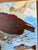 Paint “Dinner Coming” an Osprey Painting by LWren Walraven For Sale - Image 7 of 10