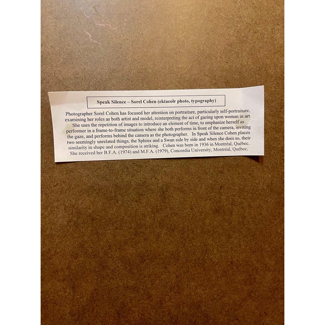 Sorel Cohen, Large Scale Color Photograph Ektacolor C Print Art Photo Typography Sorel Cohen, 1978 For Sale In Miami - Image 6 of 14