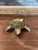 Charming vintage turtle-shaped dish featuring a detailed sculpted shell textured legs. The design captures a lifelike...