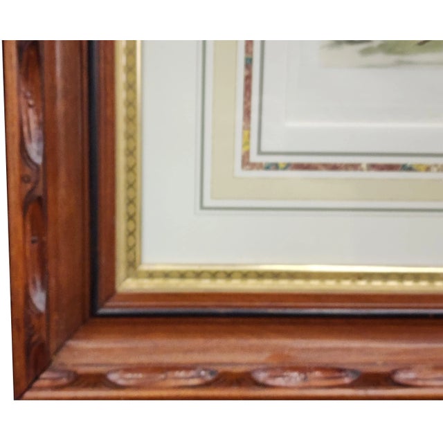 Wood Original Noseman and Sepp Phesant From 1770 Framed in an Antique Frame For Sale - Image 7 of 12