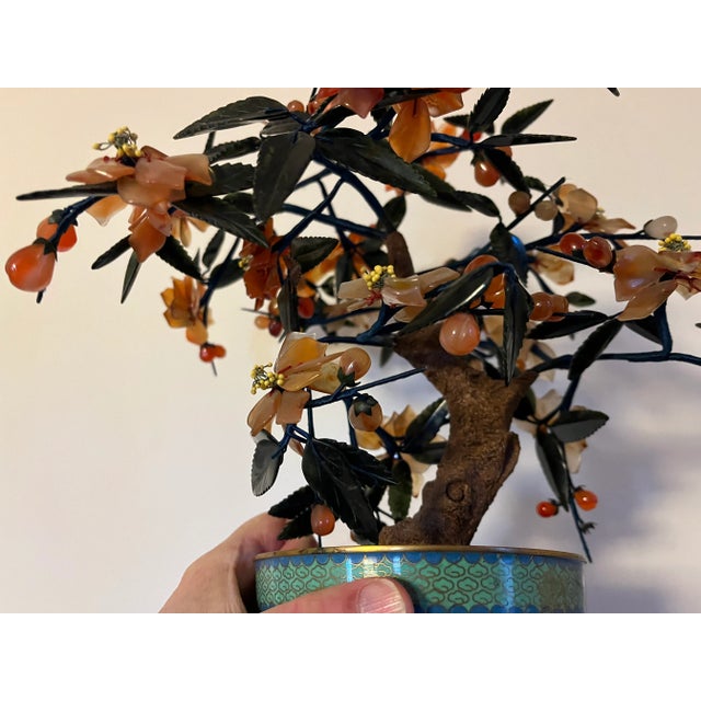 Antique Early 20th Century Chinese Hardstone & Jade Bonsai Tree in Cloisonné Enamel Flower Pot For Sale - Image 12 of 12