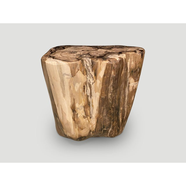 15th Century & Earlier Andrianna Shamaris High Quality Petrified Wood Side Table For Sale - Image 5 of 5