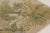 1900 - 1909 Antique French Aubusson Rug With Botanical Green Floral Design - Rug & Kilim For Sale - Image 5 of 10