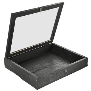 Small Display Case in Solid Wood with Black Patina For Sale