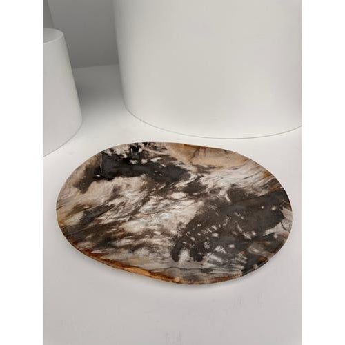 Vide poche or dish in petrified wood. Petrified wood is a wood fossil (same family as magnolia) dating back 20 million...