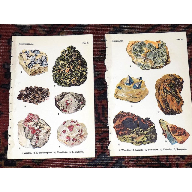 Printmaking Materials Authentic Antique 1916 Mineral Lithographs - Set of 12 For Sale - Image 7 of 8