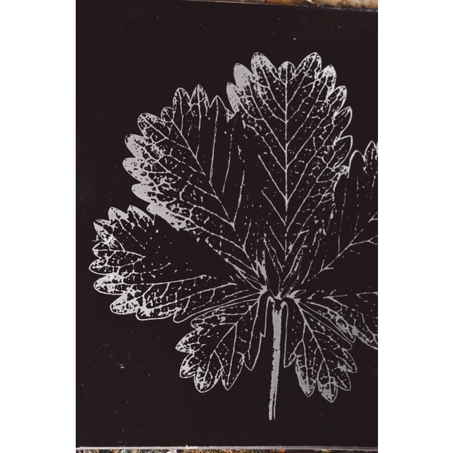 Botanical Metal Wall Art Print by J Page, 1970s For Sale - Image 3 of 5
