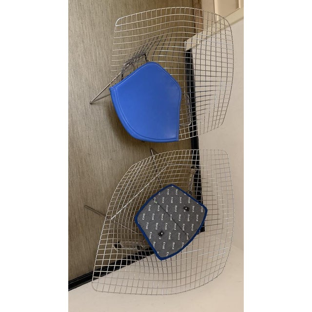 Wire 421 and 422 Diamond Chairs in Silver and Blue by Harry Bertoia for Knoll, 1970s, Set of 2 For Sale - Image 14 of 18