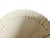 Art Nouveau Celluloid Fan, 1900s For Sale - Image 9 of 13