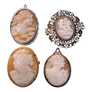 Group of 4 High Relief Cameo Pins/Pendents Carved From Bull Mouth Shell For Sale