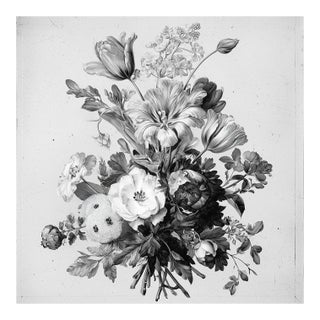 Antique Botanical Study - Natural History Fine Art Print For Sale