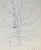 Frank Wallace Pine Tree Landscape Drawing For Sale - Image 4 of 4