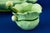 Art Nouveau Strawberry Service in Vitrified Majolica by George Jones, England, 1882, Set of 5 For Sale - Image 15 of 18