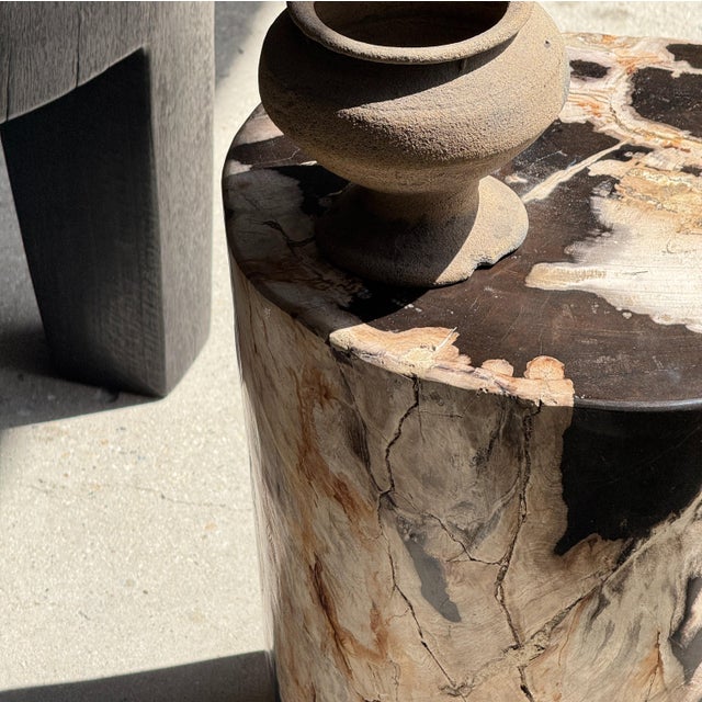Side Table in Petrified Wood with Black Spots, 1980s For Sale - Image 16 of 18