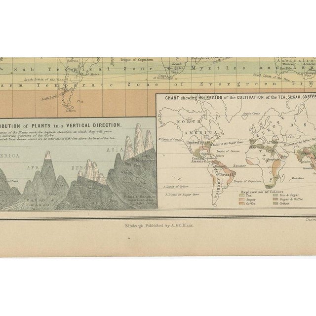 19th Century Antique Chart of the World, 1870 For Sale - Image 5 of 12