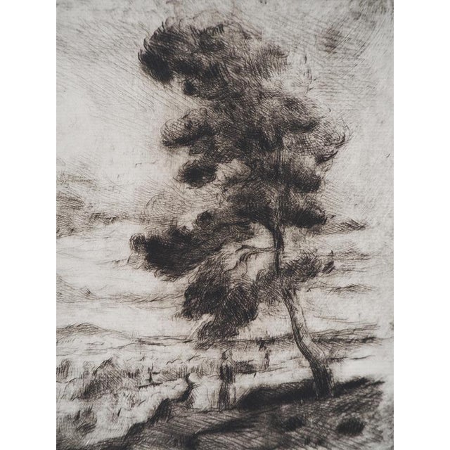 Maximilien Luce, Landscape of Yonne, 1900, Original Etching For Sale - Image 4 of 6