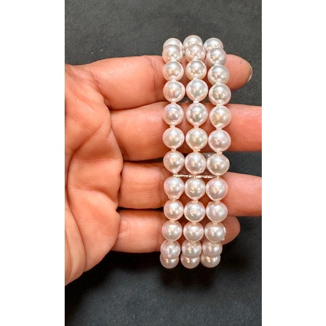 8mm Akoya Japanies Pearl Triple Strand Bracelet, Sterling Silver Clasp, 8 Inch For Sale - Image 4 of 18