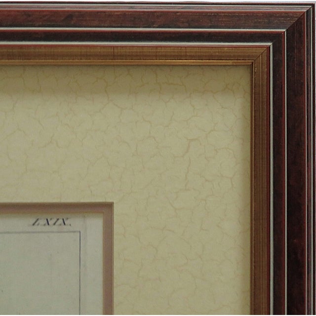 Late 20th Century Set of 3 Botanical Lithograph Prints Floral Flowers Still Life Framed For Sale - Image 5 of 6