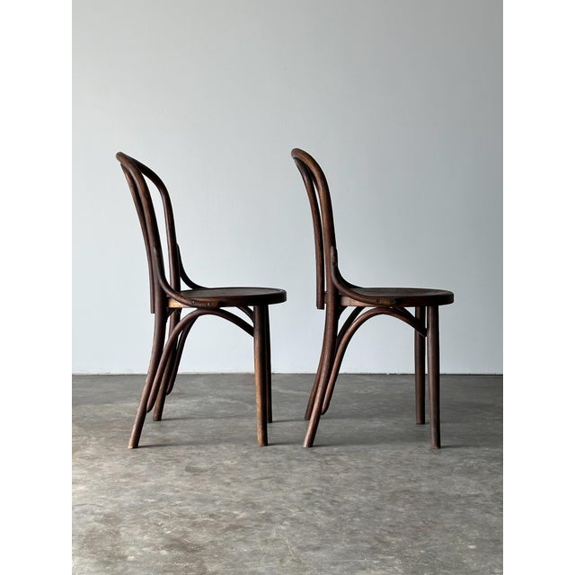 Bentwood Oak Café Chairs W/ Rose Floral Seats, 1933 World's Fair — Set of 7 For Sale - Image 13 of 17