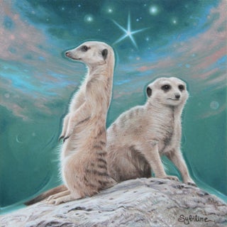 Together by Sybiline | Oil on paper pasted on panel Two meerkats against a starry background For Sale