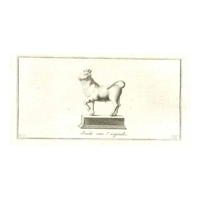 Vincenzo Campana, Ancient Roman Statue, Original Etching, 18th-Century For Sale