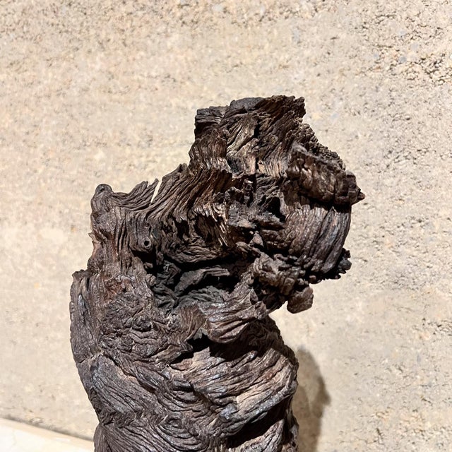 1970s Modern Art Wood Root Sculpture Organic Form For Sale - Image 4 of 10