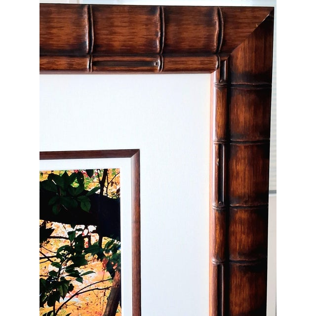 Photography 1990s David Brookover Framed Large-Format Photograph, 'Steps to Still Water' 21/400 For Sale - Image 7 of 10