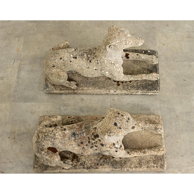 Early 20th Century English Pair of Cast Stone Whippet Garden Statues For Sale In Baton Rouge - Image 6 of 12