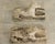 Early 20th Century English Pair of Cast Stone Whippet Garden Statues For Sale In Baton Rouge - Image 6 of 12