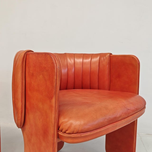 Animal Skin Leather Dinette Tub Chairs by Luigi Massoni for Poltrona Frau, 1970s, Set of 2 For Sale - Image 7 of 18