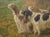 The Beginning of the Hunt, French Oil Painting by Marie Calves (1883-1957) For Sale - Image 11 of 18
