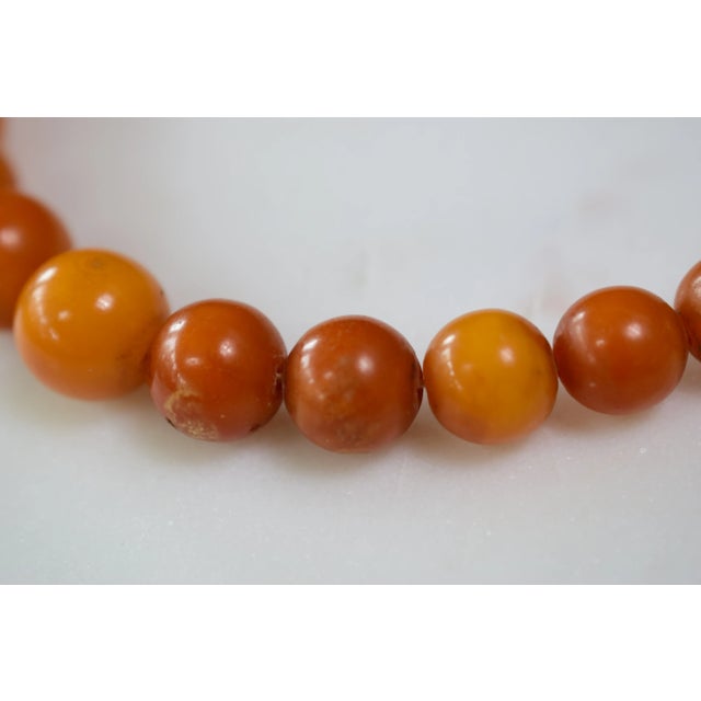 Antique Baltic Amber Choker Necklace, 1940s For Sale - Image 10 of 16