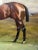 Brown Large Victorian British Sporting Oil Painting of Derby Winner Melton With Champion Jockey Fred Archer by F. S. Evans, Dated 1885 For Sale - Image 8 of 11