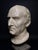 Stone Head of Marcus Tullius Cicero, Late 18th Century, Marble For Sale - Image 7 of 18