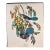 1964 Audubon Folio Lithograph Great Bird Paintings – “Florida Jay” 17x14 For Sale