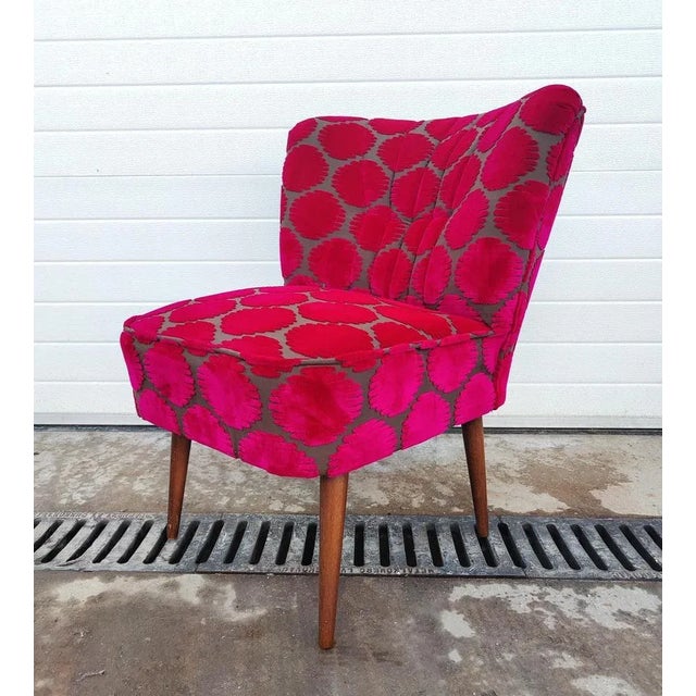 1950s Set of Mid-Century Modern Lounge Chairs, Former Yugoslavia, 1950s For Sale - Image 5 of 13