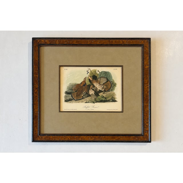 Traditional Mid 19th Century Ruffed Grouse Original Antique Bird Print by John James Audubon, Framed in Burl Wood For Sale - Image 3 of 4