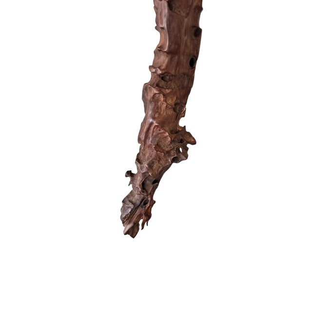 Modern Art Polished Driftwood Sculpture For Sale - Image 4 of 6