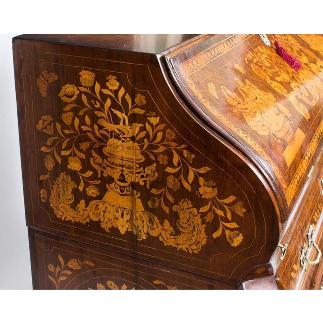 18th Century Dutch Burr Walnut Floral Marquetry Bureau For Sale - Image 6 of 8